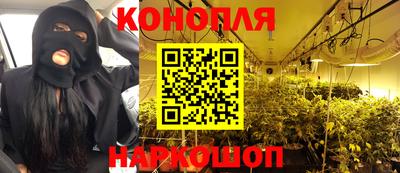 каннабис Кохма