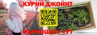 каннабис Кохма