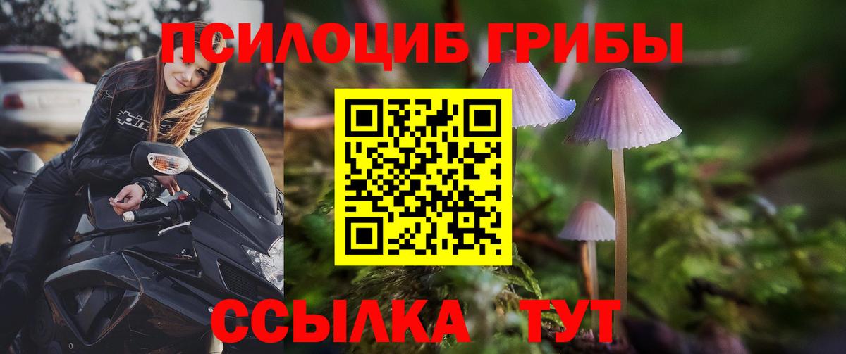 Галлюциногенные грибы ЛСД  Галлюциногенные грибы ЛСД  Вход с VPN  Кушва 